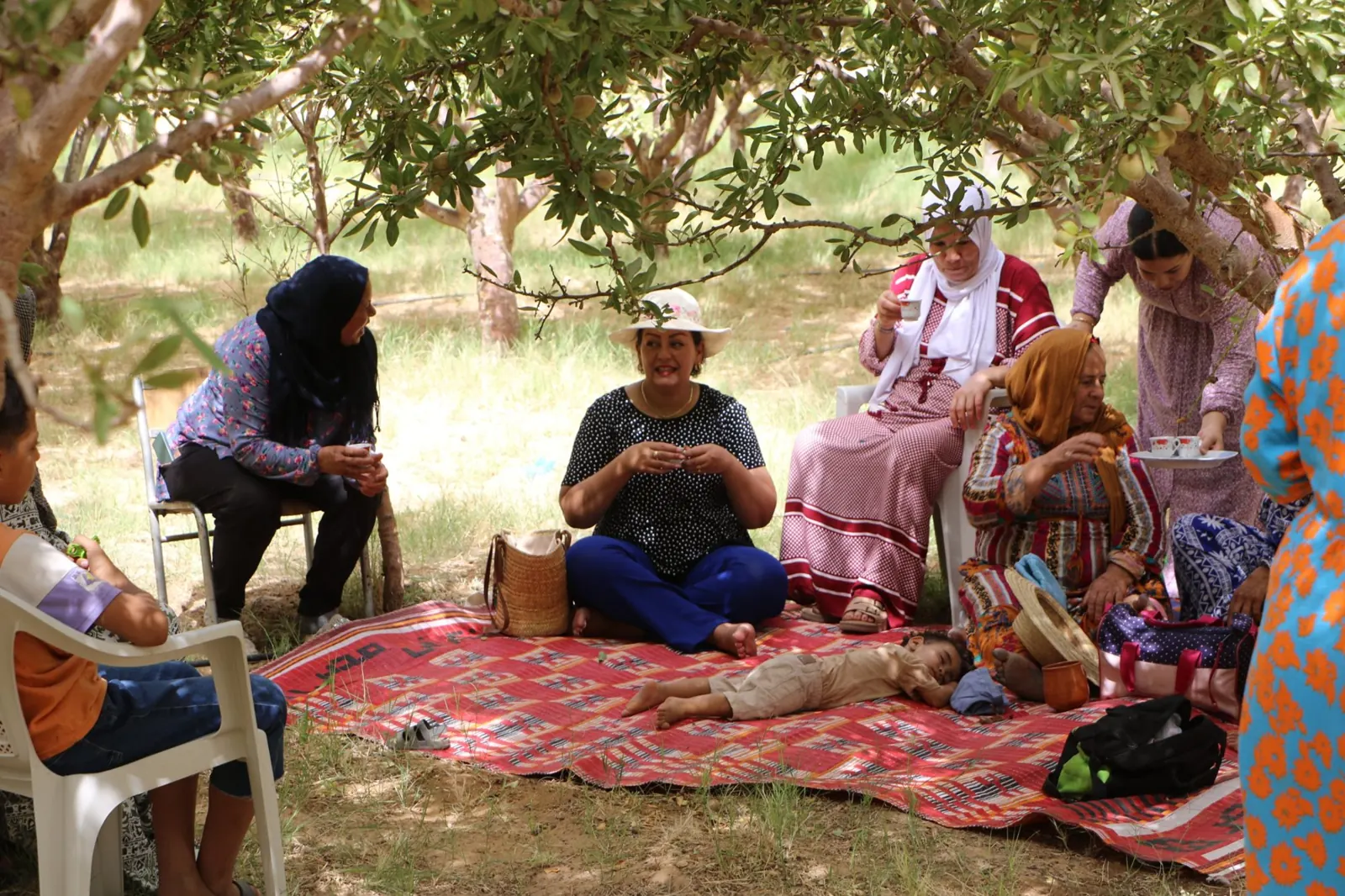Rencontre avec des femmes des oasis de Gafsa, assises sur un tapis rouge à l'ombre des amandiers